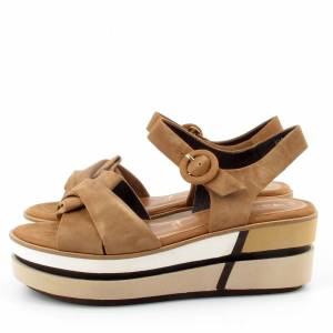 62252 Tamaris