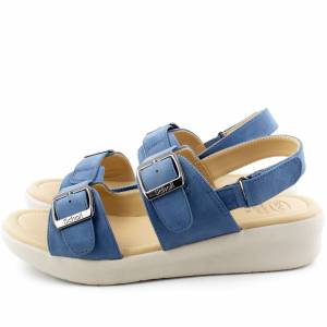 63084 Scholl