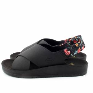 63074 Scholl