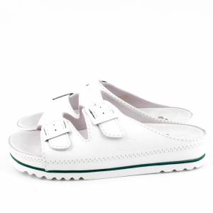 49567 Scholl