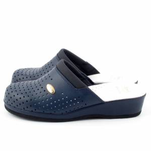 33483 Scholl