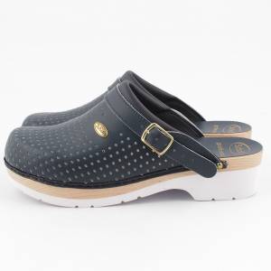 18022 Scholl