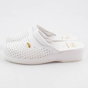 8727 Scholl