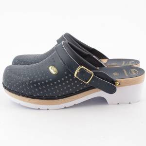 18016 Scholl