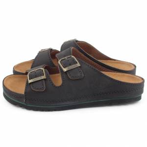 33465 Scholl
