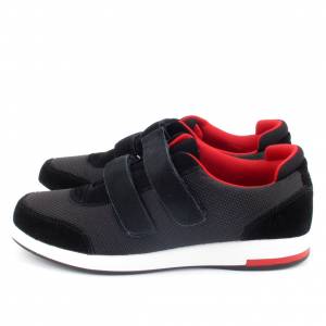 34679 Scholl