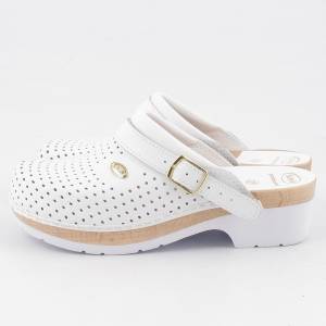 12583 Scholl