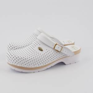 8728 Scholl