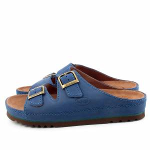 66518 Scholl