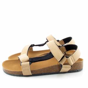 67301 Scholl