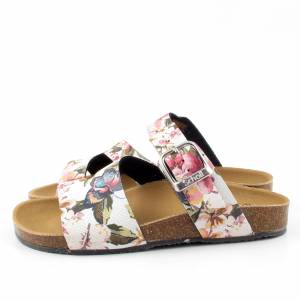67748 Scholl