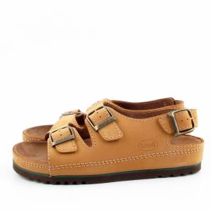 72260 Scholl