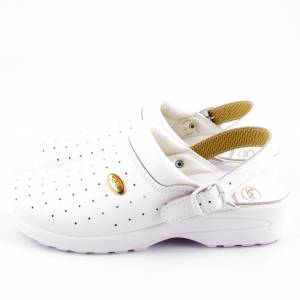 75701 Scholl