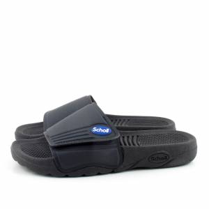 75204 Scholl
