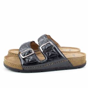 78100 Scholl