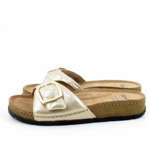 78639 Scholl