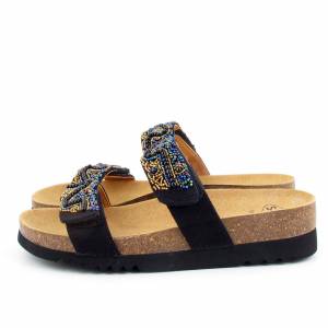 79513 Scholl