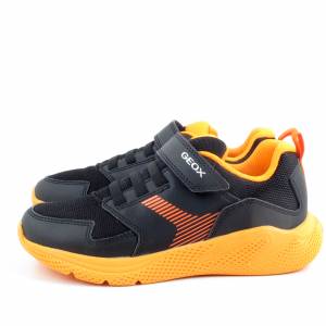 81169 Geox