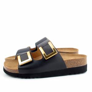 82561 Scholl