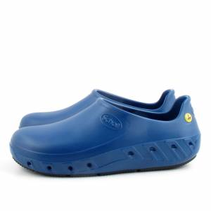 82242 Scholl