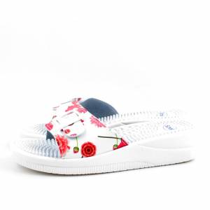 82885 Scholl