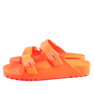 83107 Scholl