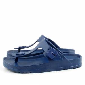 83184 Scholl