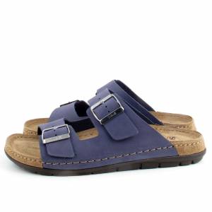 83134 Scholl