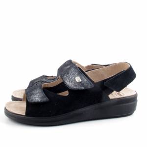 86023 Scholl