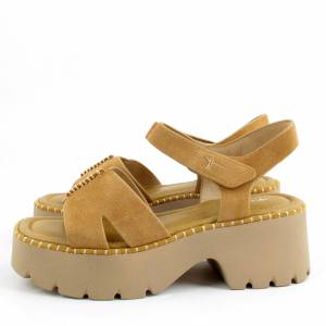 85960 Tamaris