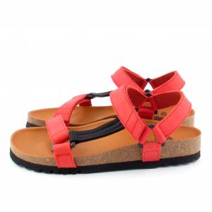 43934 Scholl