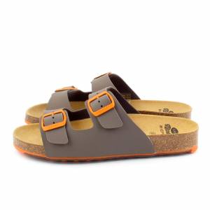 43961 Scholl