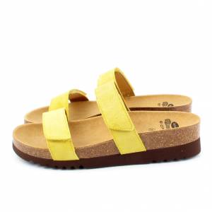 44830 Scholl