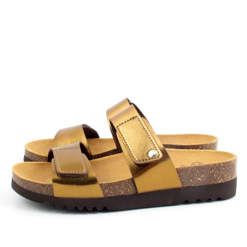 82843 Scholl